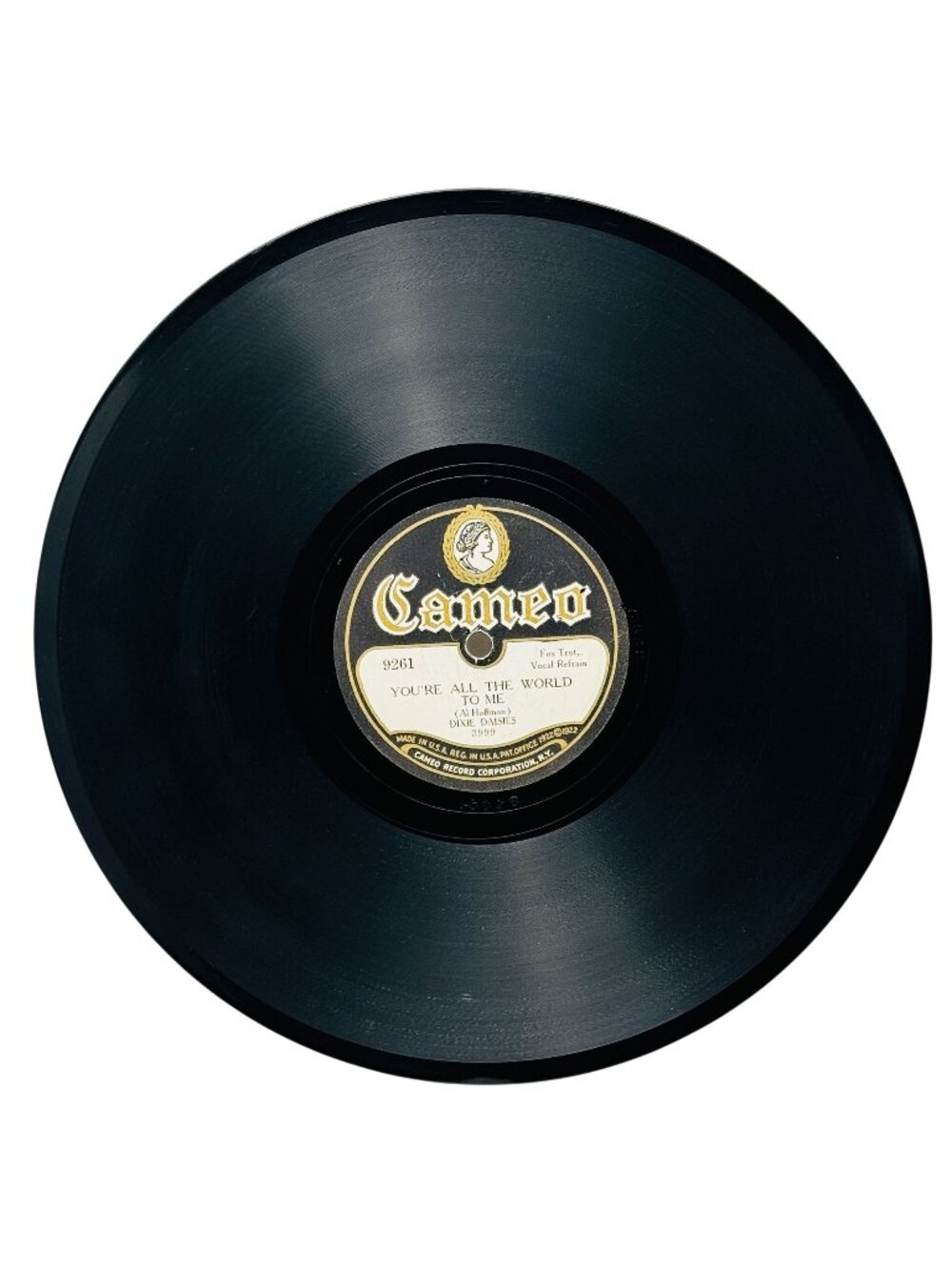 Dixie Daisies Youre All The World To Me 10 Inch Shellac 78 RPM Cameo 9261